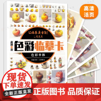 高清8开色彩临摹卡色彩单体 步骤对应完整作品2024一线美誉水粉书