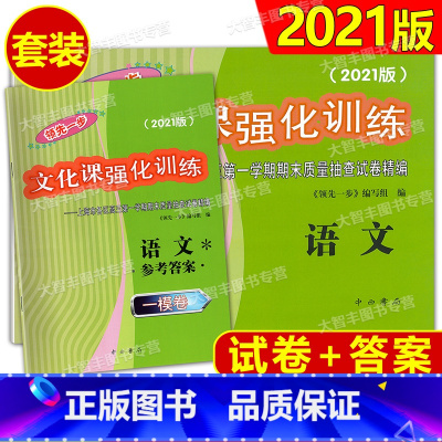 2021 高考一模 语文+答案 [正版]2021领先一步文化课强化训练 上海市高考一模卷 语文数学英语物理化学政治历史