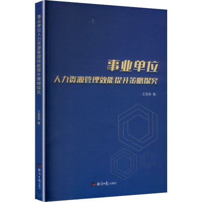 正版新书]事业单位人力资源管理效能提升策略探究王登英 著 著97