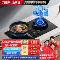 万家乐猛火全进风燃气双灶 台式嵌入式两用大火力一级能效70%热效率开孔尺寸可调节AY6 70%热效率5.0KW
