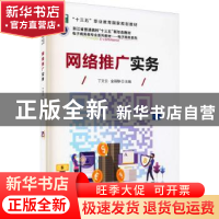 正版 网络推广实务 丁文云,金丽静 电子工业出版社 9787121378140