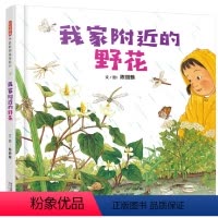 我家附近的野花 [正版]我家附近的野花 3-4-5-6岁儿童绘本故事书植物科普绘本亲子阅读宝宝成长绘本幼儿园小中大班读物