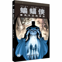 音像蝙蝠侠 披风斗士的命运(英)尼尔·盖曼