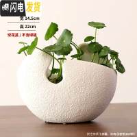 三维工匠简约北欧风格绿萝创意花盆陶瓷铜钱碗莲睡莲无孔水培水仙金钱 白色月牙-大号 大花盆容器