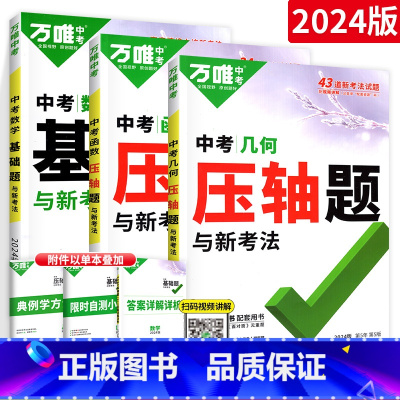 压轴题[几何+函数]+ 基础题[数学]3本 初中通用 [正版]2024数学压轴题全解析物理化学全国版专项训练初中数学函数