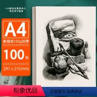 [正版]墨点美术素描纸A4美术生加厚160g素描绘画纸100张画画白纸a4学生用初学者儿童速写纸初学者绘画铅画纸学生美