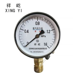 祥屹+氧气压力表检测定制型+YO100+块