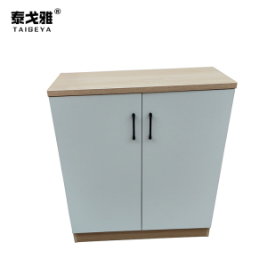 泰戈雅 鞋柜 TGY-020 个