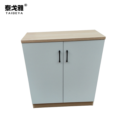 泰戈雅 鞋柜 TGY-020 个