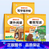 [语文全3册]看图写话+课外阅读+写字练字帖 小学二年级 [正版]新版暑假专项训练二年级全套5册语文看图写话课外阅读写字