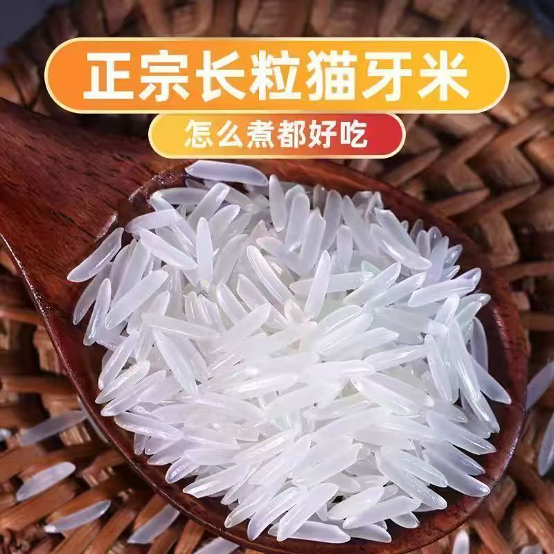 [一级猫牙米]25年新鲜长粒香米正宗农家晚稻大米蛋炒饭煲仔饭专用