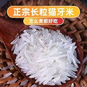 [一级猫牙米]25年新鲜长粒香米正宗农家晚稻大米蛋炒饭煲仔饭专用