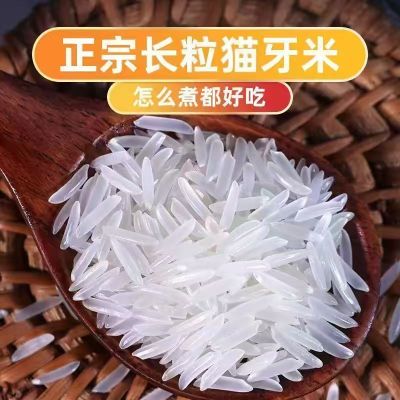 [一级猫牙米]25年新鲜长粒香米正宗农家晚稻大米蛋炒饭煲仔饭专用