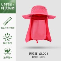 统狮 防晒帽 P59 个