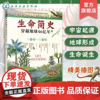 生命简史 穿越地球46亿年 二叠纪 三叠纪 6-12-15岁儿童中小学生青少年科普读物 宇宙起源地球形成生命诞生史前世界