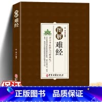 [正版] 图解难经 学习中医的入门经典之一 脉诊一学就会中基础理论知识普及脉象经络肺腑详解书 难经原文白话解校释奇经八