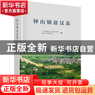 正版 钟山铜盆汉墓 广西文物保护与考古研究所 等 科学出版社 978