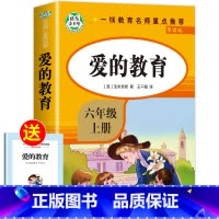 [六年级上册]爱的教育 [正版]全套7册 小学六年级课外书必读童年书高尔基经典书目上下册原著 爱的教育 小英雄雨来 六上