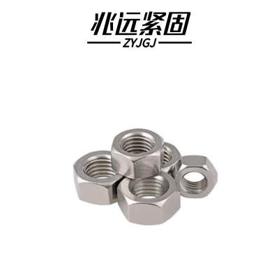 兆远紧固 304不锈钢六角螺母(个)(M24)