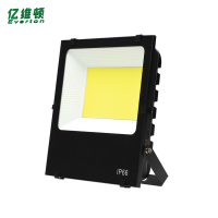 亿维顿 LED投光灯 200W 个