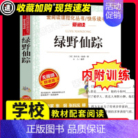 [29元3件]绿野仙踪 [正版]青鸟书籍 儿童文学读物小学生三四五六年级课外阅读书籍青少年儿童名著故事书四年级课外书必小