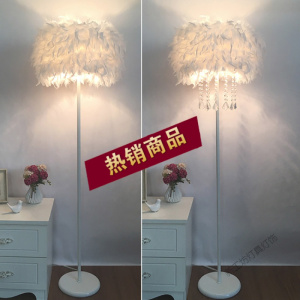 苏宁放心购 落地灯ins风羽毛卧室公主北欧客厅创意立式台灯具灯饰网红床头灯