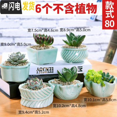 三维工匠多肉花盆植物简约陶瓷盆器套装种多肉个性盆器 套080(随机6个) 中小花盆容器