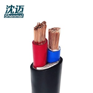 沈迈 铜芯软电缆 ZR-YJVR-0.6/1KV-2*10mm² /米