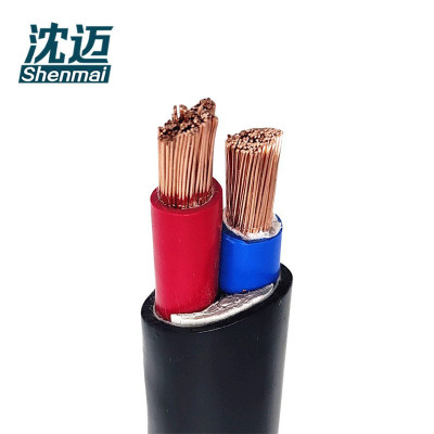 沈迈 铜芯软电缆 ZR-YJVR-0.6/1KV-2*10mm² /米