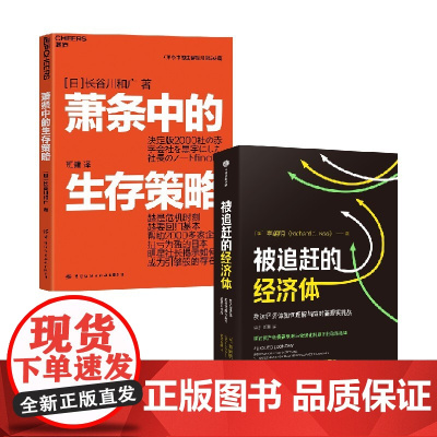 被追赶的经济体+萧条中的生存策略 辜朝明等 著 经济
