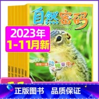 A[共11期]2023年1-11月 [正版]1-11月全年/半年订阅自然密码2023/2024年1-12月/20