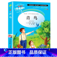 [正版]青鸟书小学生课外阅读书籍三四五六年级书目青少年儿童读物经典文学名著全集完整版故事书6-8-12岁人生