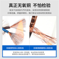 仕纪联合-Z595连接线100米RVV-2X1.0MM