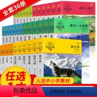 [正版]任选1册全系列新狼王梦 斑羚飞渡 第七条猎狗经典四五六年级小学生课外书7-9岁孩子阅读书籍沈石溪动物小说全集