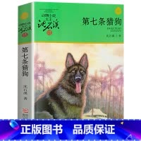 第七条猎狗 [正版]完整版第七条猎狗全本沈石溪的图书籍动物小说大王品藏系列小学生四五六年级儿童文学作品珍藏大全全集全套单