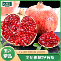 [苏鲜生] 会理突尼斯软籽石榴 净重9斤 特大果 单果400-500g 鲜孕妇水果 坏果包赔