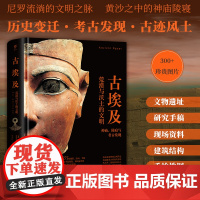 失落的文明:古埃及 意大利白星出版社经典丛书——失落的文明 英法美德荷等16个国家出版 雄据东方的古代中国 尼罗河畔的古