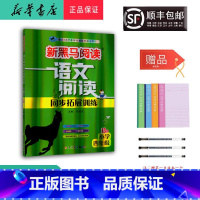 语文 四年级下 [正版] 2024新版 新黑马阅读 语文阅读同步拓展训练 四年级 B版