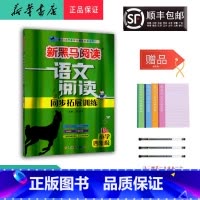 语文 四年级下 [正版] 2024新版 新黑马阅读 语文阅读同步拓展训练 四年级 B版