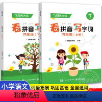 2册]看拼音写字词四年级下+上 小学通用 [正版]飞翔看拼音写字词 一二三四五年级下册上册 小学语文练习册人教版认字写字