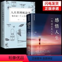 [正版]全套2册感悟人生书籍哲理枕边书一句话点亮成人励志语录书治愈系适合女性看的提升自己书籍书排行榜正能量