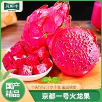 [苏鲜生] 京都一号火龙果 红心火龙果 净重4.8-5.2斤装 中果 箱装 热带 水果 当季新鲜水果