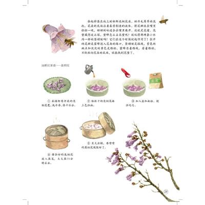 我身边的自然课 花儿