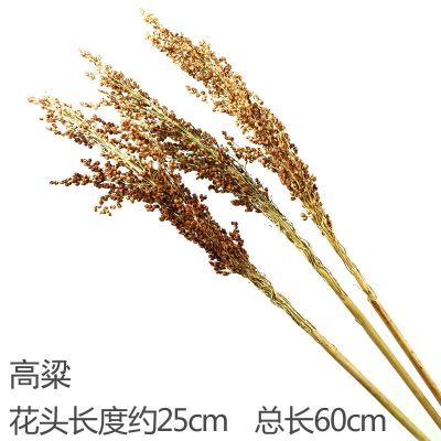 三维工匠麦穗干花花束开业大麦客厅田园装饰摆件干花插花拍摄道具高粱3支