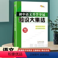 语文知识大集结 初中通用 [正版]初中语文升学夺冠知识大集结68所名校中考毕业总复习考试辅导资料工具书 初一二三年级知识