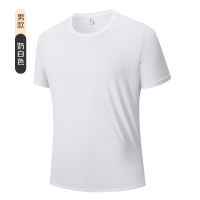丛信哲短袖T恤2026-26/件