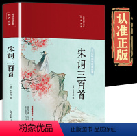 [正版]彩色插图布面精装宋词三百首全集 宋词鉴赏辞典赏析原文译文注释中国古诗词唐诗宋词元曲大全集无障碍阅读青少年古诗词