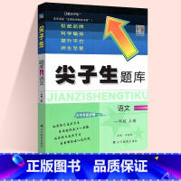 语文:人教版 六年级下 [正版]2024春尖子生题库二三年级四五年级六一年级上下册数学语文人教北师大西师版一课一练课堂同