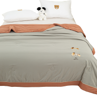 三水依梦 亲肤大豆夏被 200*230cm 条