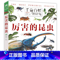 [正版]厉害的昆虫(精)/千奇百怪的昆虫